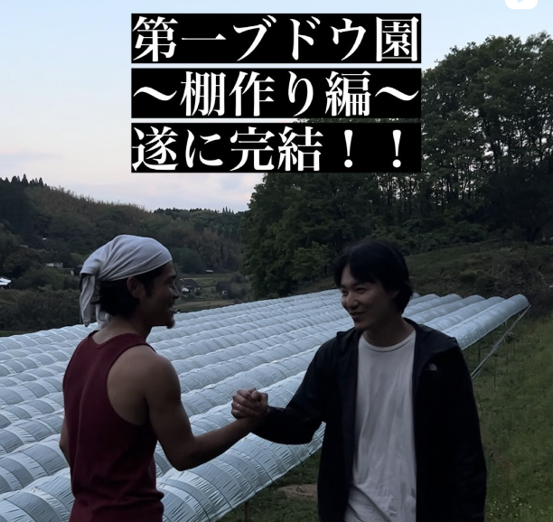 棚作り