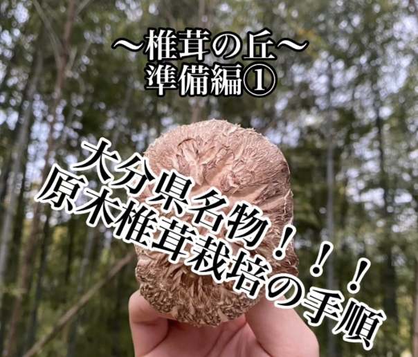 椎茸